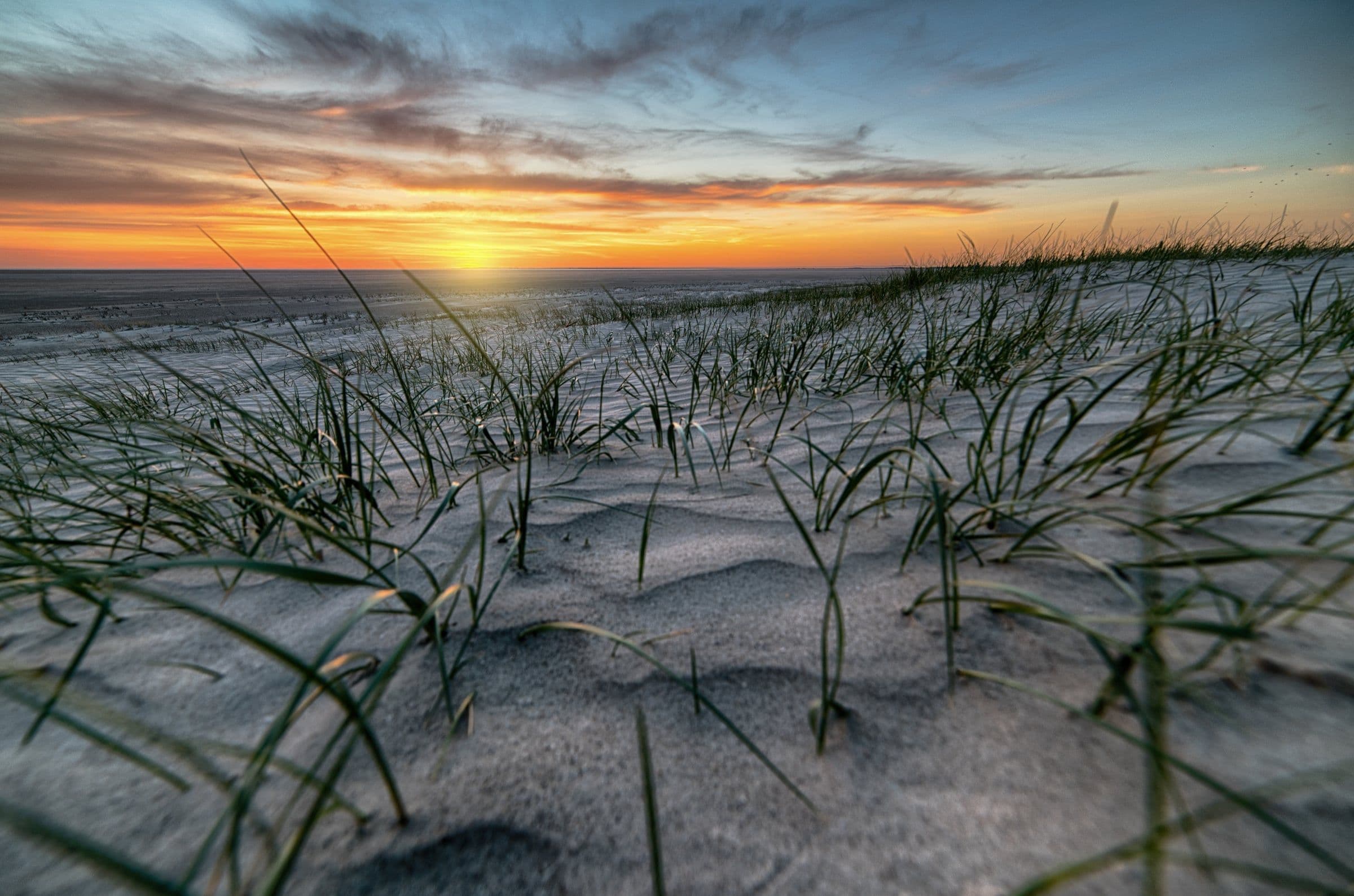 Dünen mit Strandhafer an der Küste im Abendlicht