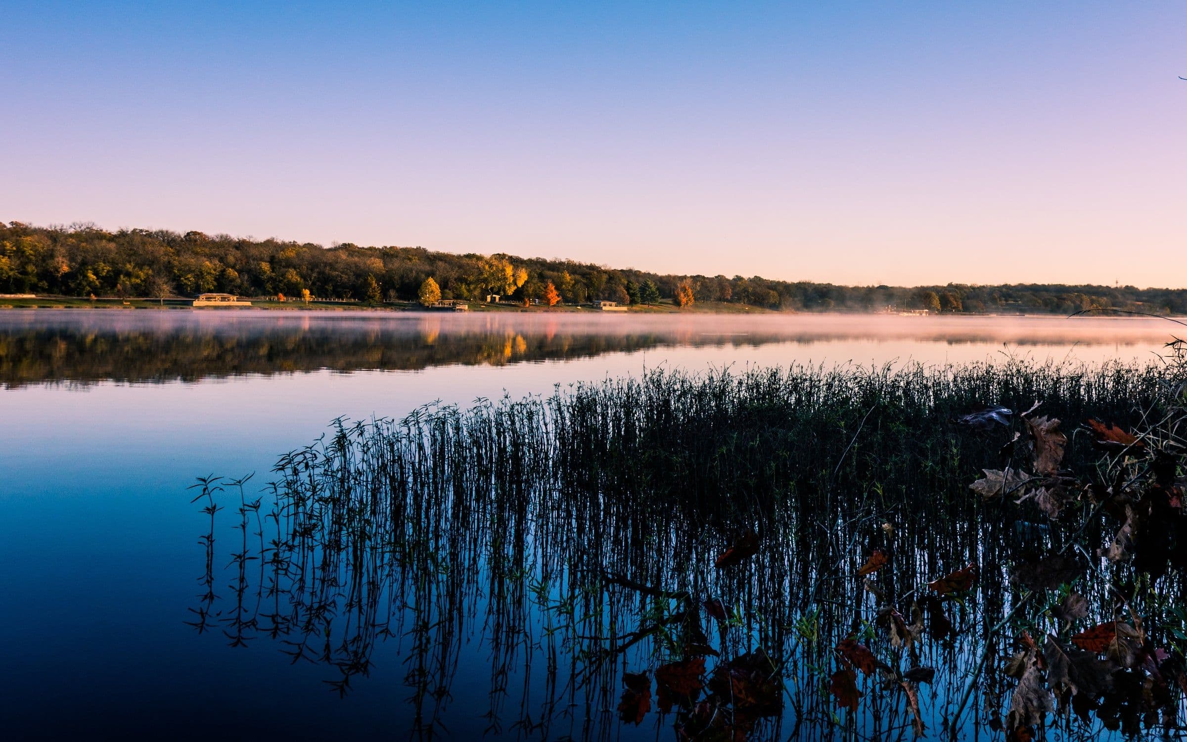 See mit Schilfgürtel und Wald im Abendnebel
